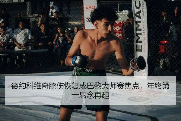 德约科维奇膝伤恢复成巴黎大师赛焦点，年终第一悬念再起